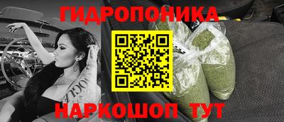 дмт Бийск