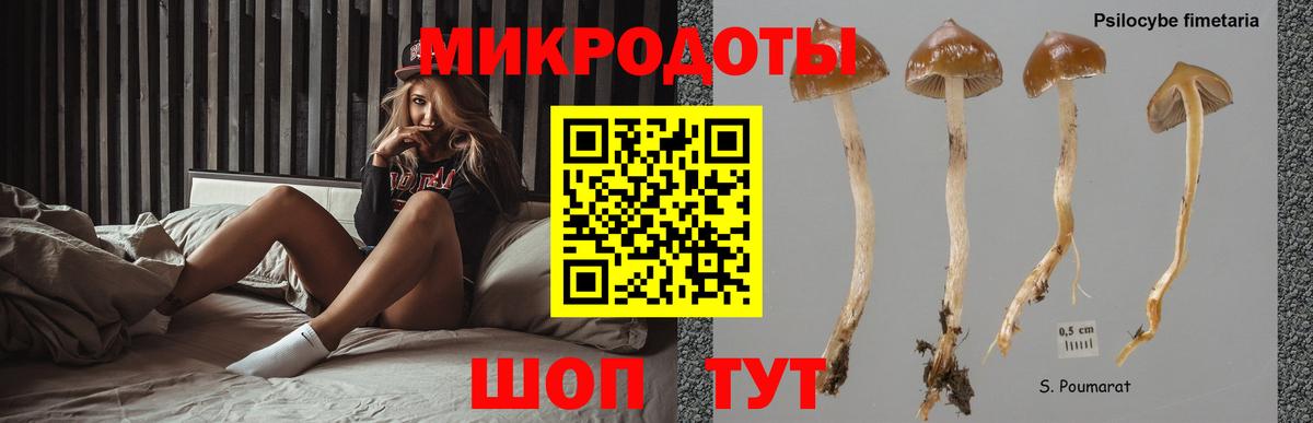 купить закладку  Галлюциногенные грибы Psilocybine cubensis  Кимовск  Вход с VPN  Псилоцибиновые грибы GOLDEN TEACHER 