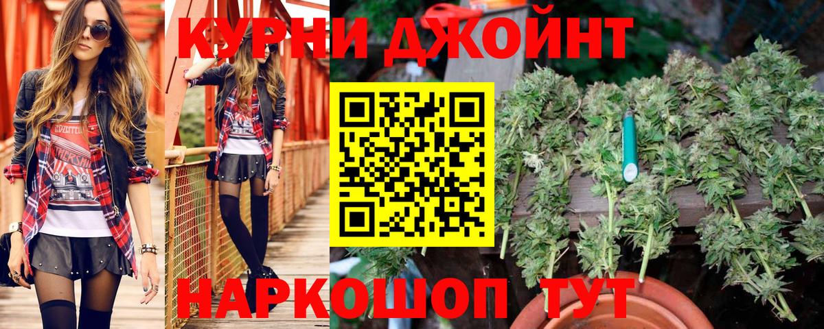 Конопля SATIVA & INDICA  Вход с VPN  Кимовск  Марихуана тримм 